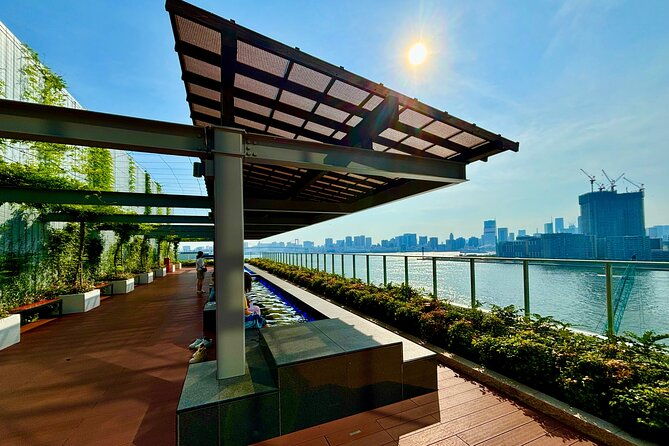 tokyo-skyline-private-walking-tour