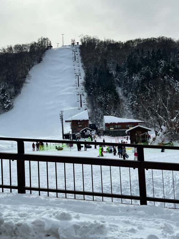 Tokyo: Snow Monkey & Nagano Customizable Private Day Tour - Key Points