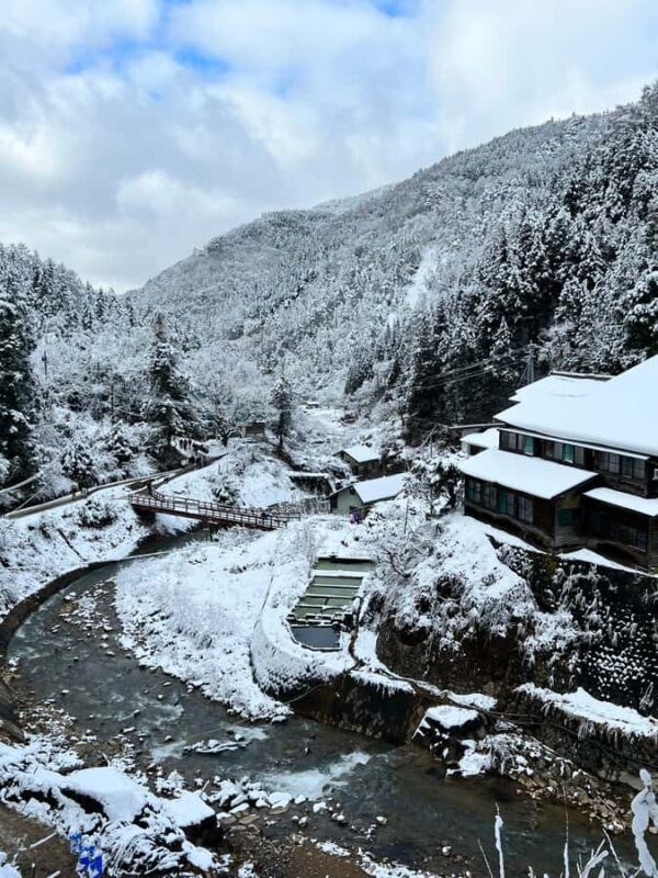 Tokyo: Snow Monkey & Nagano Customizable Private Day Tour - An In-Depth Look at the Tour Experience