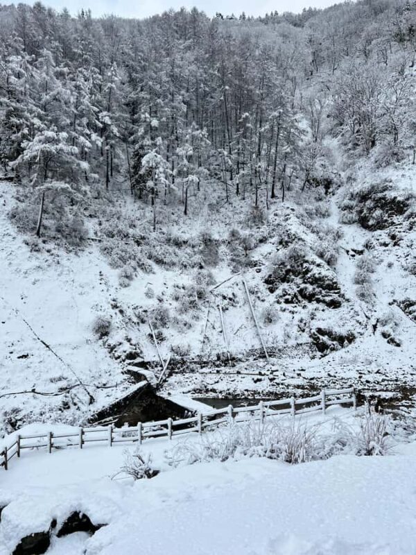 Tokyo: Snow Monkey & Nagano Customizable Private Day Tour - Who Would Love This Tour?