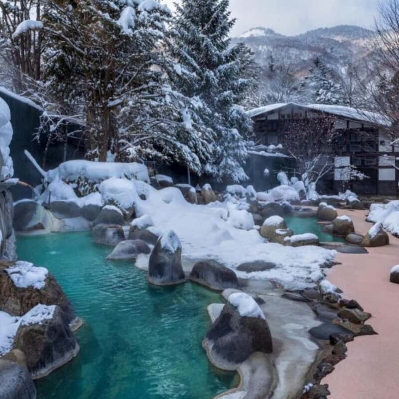 Tokyo: Snow Monkey Park and Zenkoji Temple Private Day Tour - FAQ