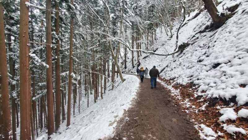 Tokyo: Snow Monkeys, Zenkoji Temple, & Obuse Day Trip - Key Points