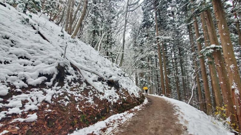 Tokyo: Snow Monkeys, Zenkoji Temple, & Obuse Day Trip - What We Think About the Experience