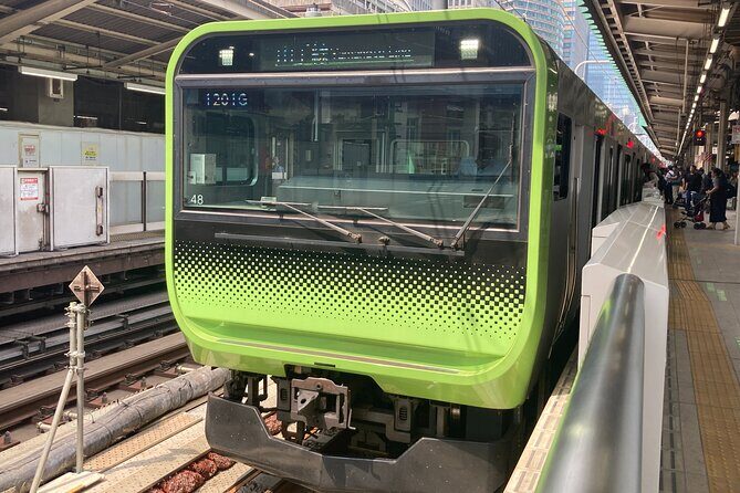 Tokyo Station Historical Walking Tour with Food and Anime - Final Thoughts