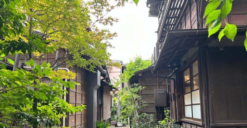 Tokyo : Stroll in the Old traditional town~Yanaka & Nezu - Discovering the Charm of Old Tokyo
