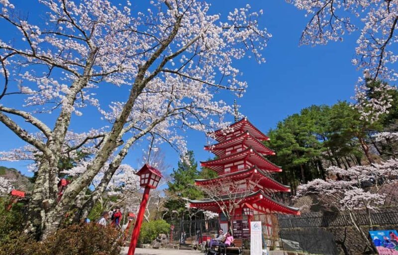 Tokyo Stunning Views of Mount Fuji Best-Selling One-Day Trip - An In-Depth Look at the Experience