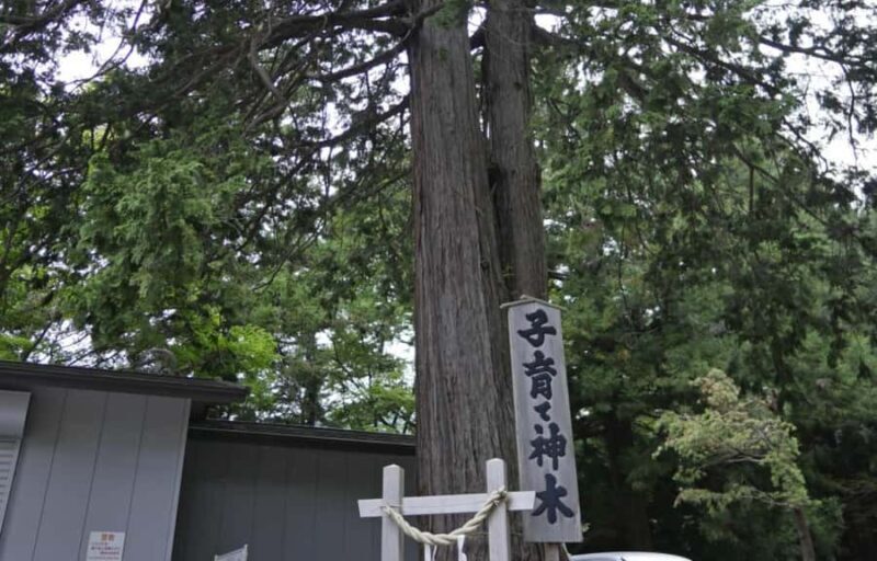 Tokyo Stunning Views of Mount Fuji Best-Selling One-Day Trip - FAQs