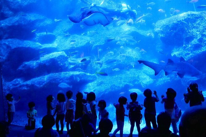 tokyo-sumida-aquarium-e-ticket-with-optional-tokyo-metro-pass