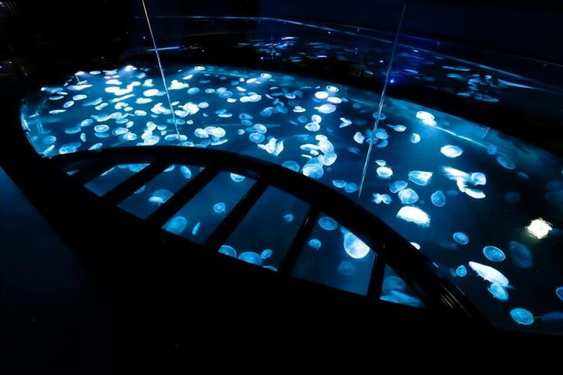 tokyo-sumida-aquarium-entry-ticket