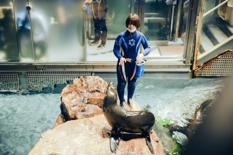 tokyo-sumida-aquarium-entry-ticket