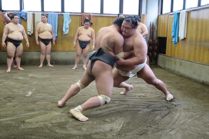 tokyo-sumo-morning-practice-in-ryogoku-photo-shoot-w-wrestlers