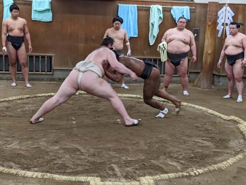Tokyo: Sumo Morning Practice -Stable Visit Tour with a Guide - The Breakdown of the Experience
