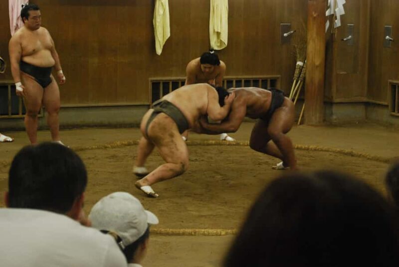 Tokyo: Sumo Morning Practice -Stable Visit Tour with a Guide - Practical Details That Matter