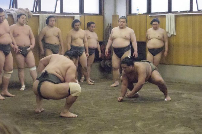 tokyo-sumo-morning-practice-tour-at-stable