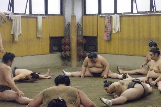 tokyo-sumo-morning-practice-tour-at-stable