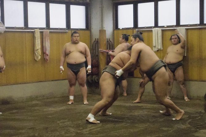 tokyo-sumo-morning-practice-tour-at-stable