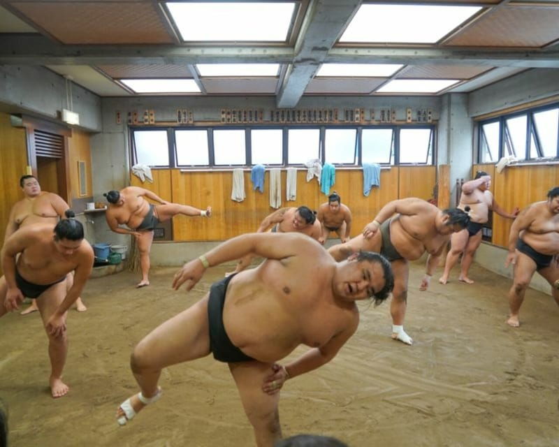 tokyo-sumo-morning-practice-tour-in-ryogoku-and-photo-shoot