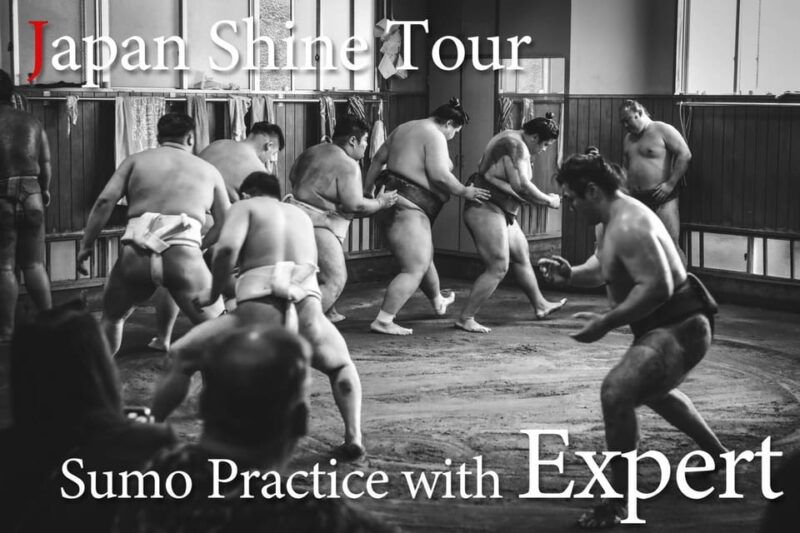 tokyo-sumo-morning-practice-tour-with-expert-reporter