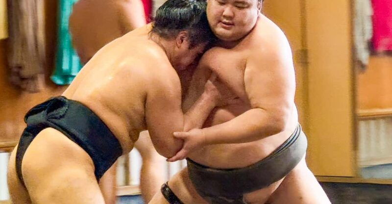 tokyo-sumo-morning-practice-tour-with-expert-reporter