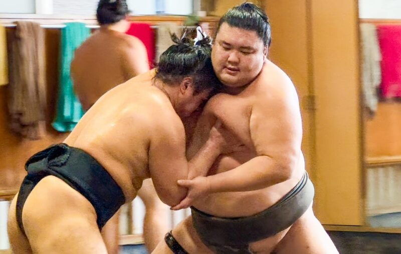 tokyo-sumo-morning-practice-tour-with-expert-reporter