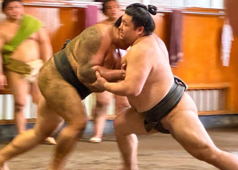 tokyo-sumo-morning-practice-tour-with-expert-reporter