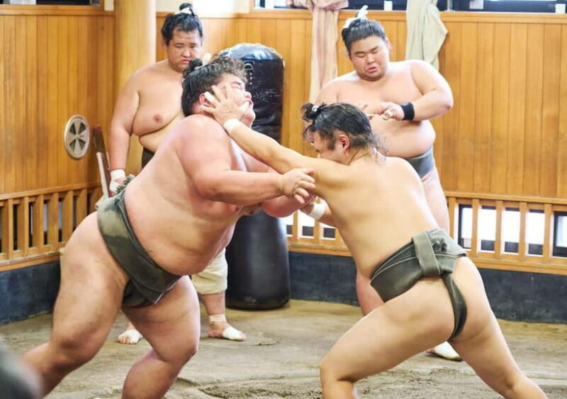 Tokyo: Sumo Morning Practice Viewing Tour at a Real Stable - Key Points