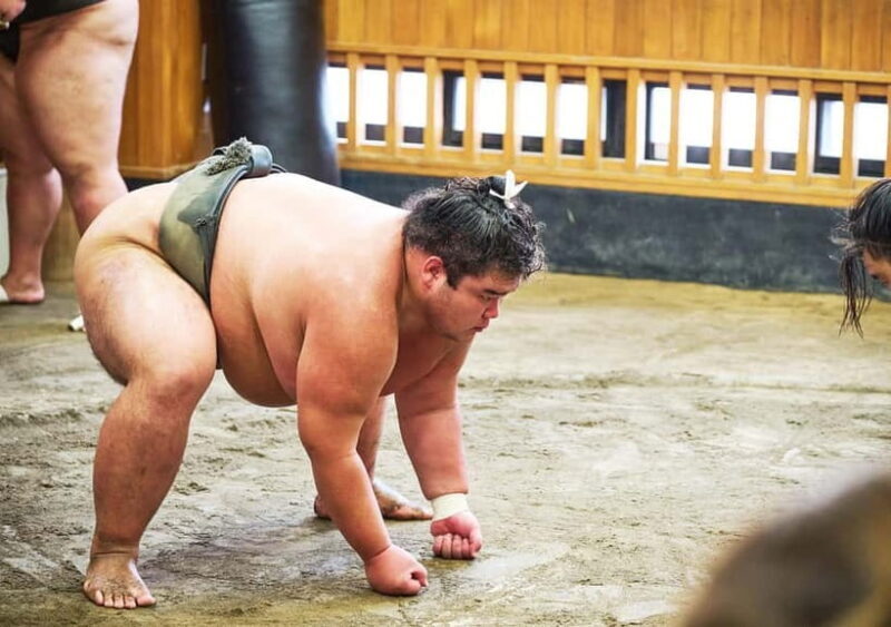 Tokyo: Sumo Morning Practice Viewing Tour at a Real Stable - An In-Depth Look at the Sumo Practice Tour