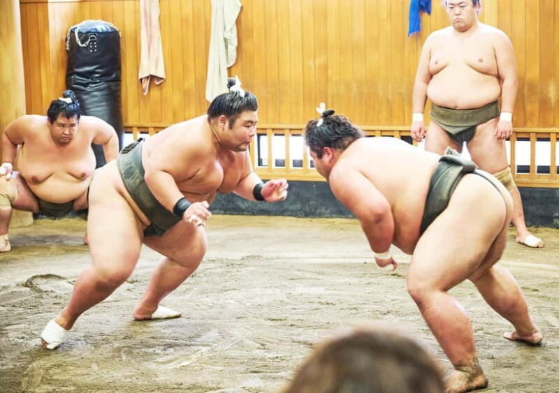 Tokyo: Sumo Morning Practice Viewing Tour at a Real Stable - FAQ