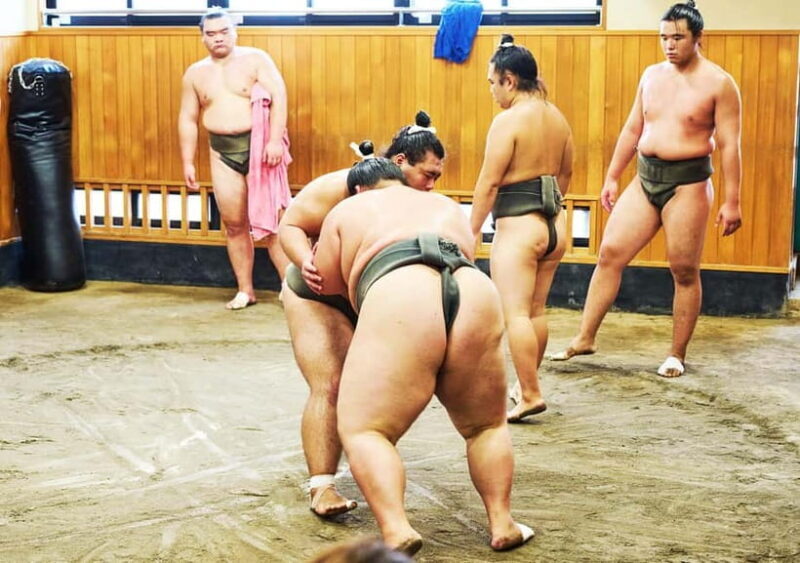 Tokyo: Sumo Morning Practice Viewing Tour at a Real Stable - Final Thoughts