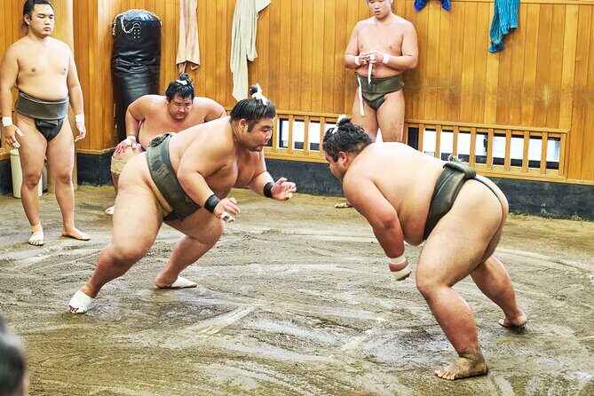 Tokyo: Sumo Morning Practice Viewing Tour at a Real Stable - Introduction