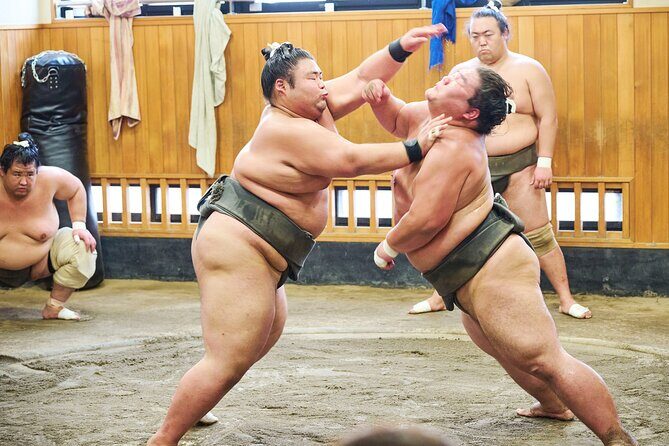 Tokyo: Sumo Morning Practice Viewing Tour at a Real Stable - Key Points