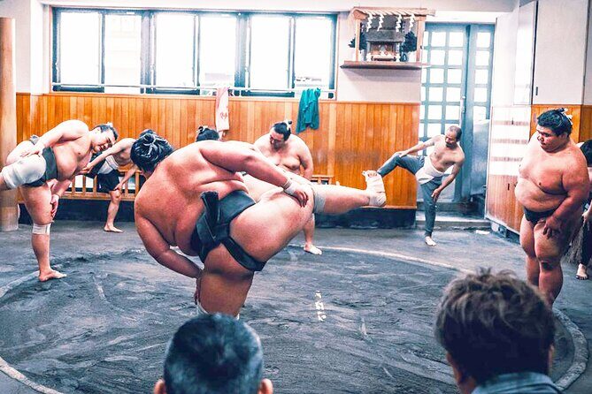 Tokyo: Sumo Morning Practice Viewing Tour at a Real Stable - Practical Details and Tips