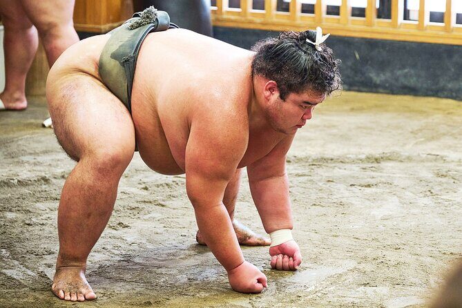 Tokyo: Sumo Morning Practice Viewing Tour at a Real Stable - Authentic Insights from Reviewers