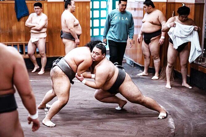 Tokyo: Sumo Morning Practice Viewing Tour at a Real Stable - Final Thoughts