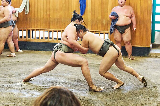 Tokyo: Sumo Morning Practice Viewing Tour at a Real Stable - In The Sum Up