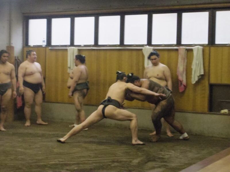 tokyo-sumo-morning-practice-viewing-tour