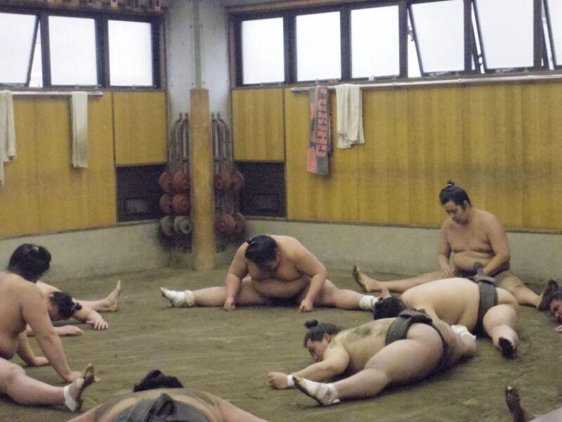 tokyo-sumo-morning-practice-viewing-tour
