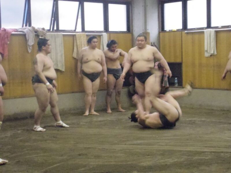 tokyo-sumo-morning-practice-viewing-tour