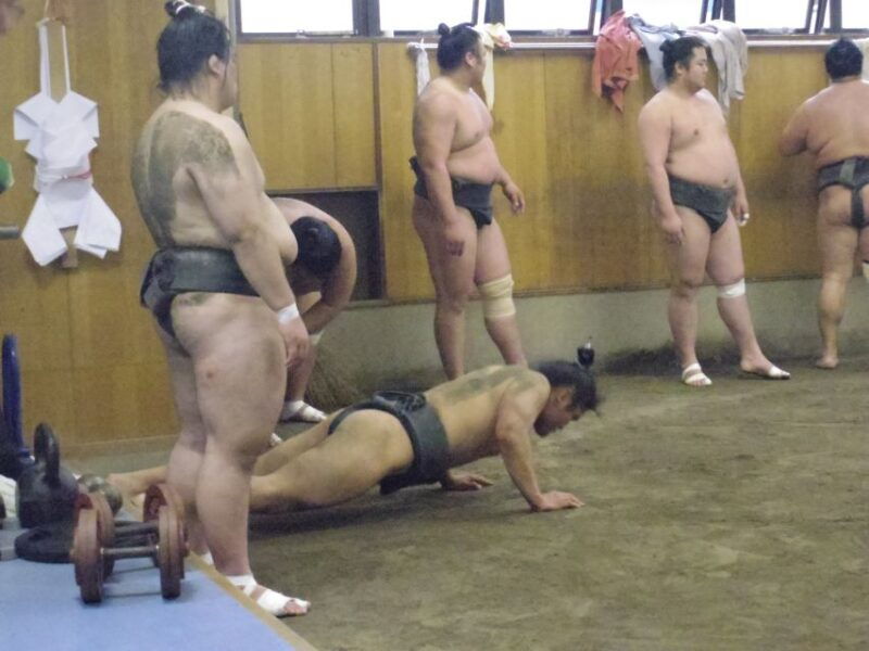 tokyo-sumo-morning-practice-viewing-tour