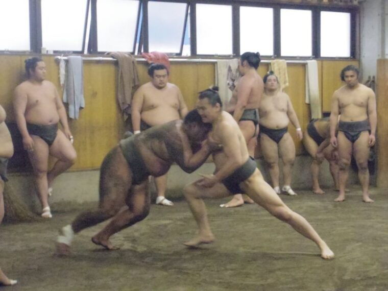 tokyo-sumo-morning-practice-viewing-tour