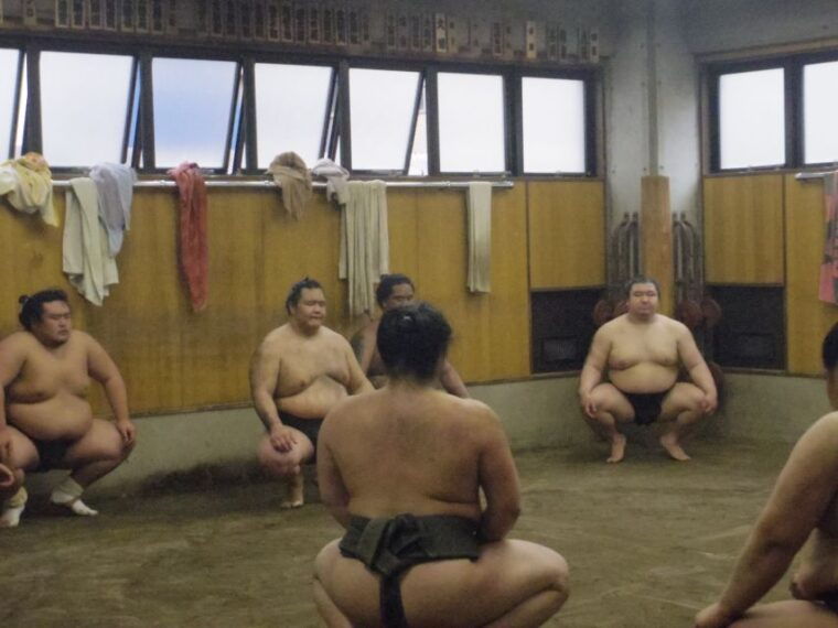 tokyo-sumo-morning-practice-viewing-tour