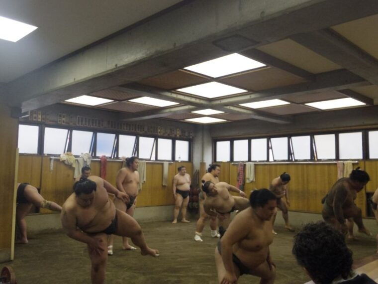 tokyo-sumo-morning-practice-viewing-tour