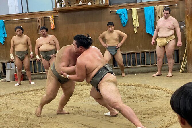Tokyo Sumo Morning Practice with Guide Ringside Live Training - In-Depth Look at the Experience