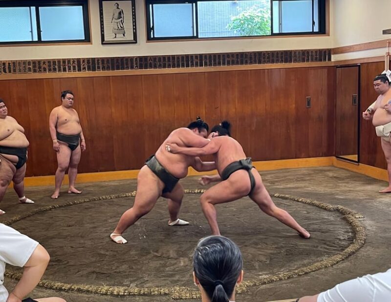 Tokyo: Sumo Morning Practice with Photo Banzuke and Guide - The Sum of the Experience: Who Should Consider It?