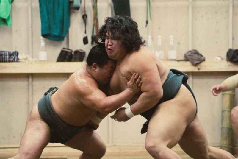 Tokyo Sumo Morning Training/ Sumo Practice with Wrestlers - What to Expect: Practical Details and Tips