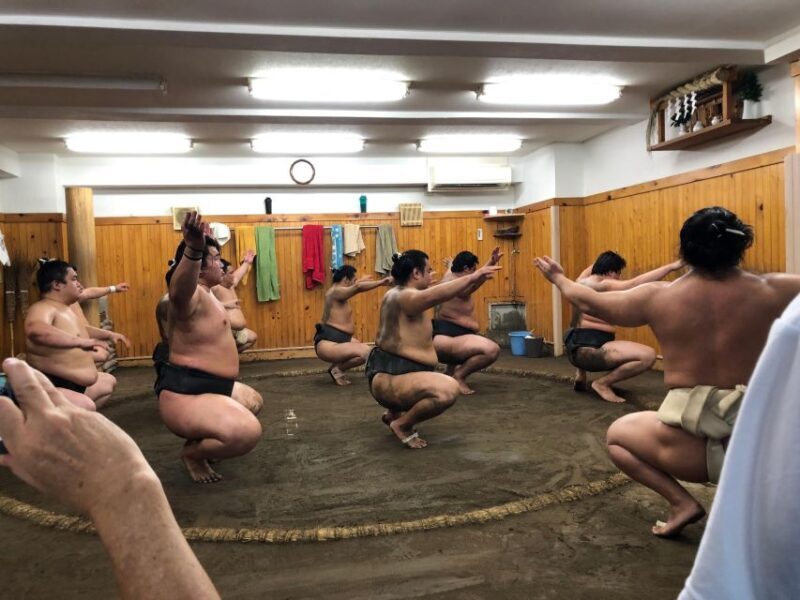 Tokyo Sumo Morning Training/ Sumo Practice with Wrestlers - Authenticity and Unique Insights from Reviewers