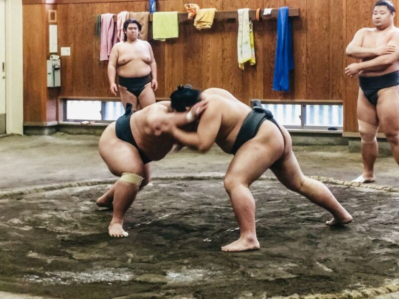 tokyo-sumo-morning-training-visit