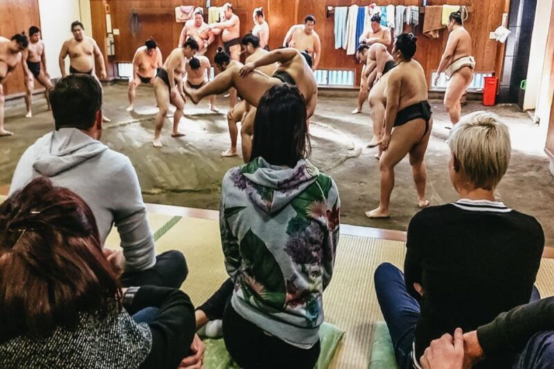 tokyo-sumo-morning-training-visit