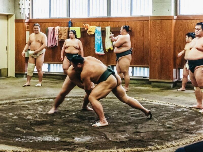 tokyo-sumo-morning-training-visit
