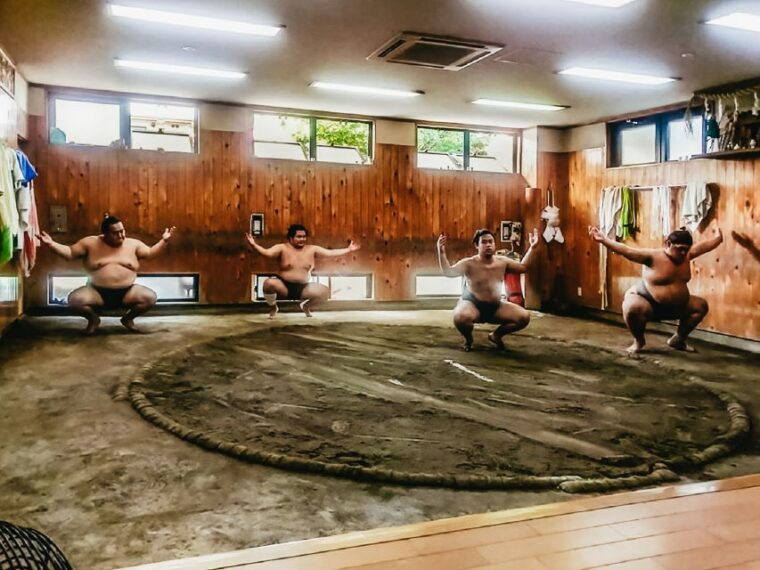 tokyo-sumo-morning-training-visit